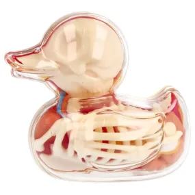 3.25" Bathing Ducky - Jason Freeny