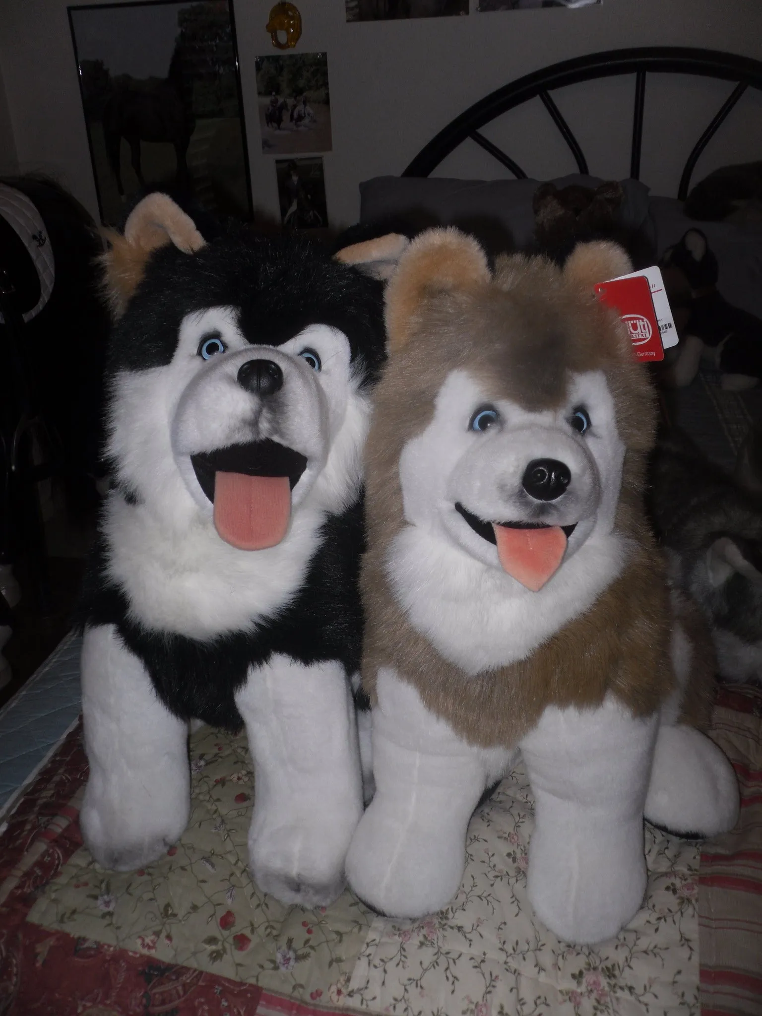 Cute 'n Cuddly Huskies